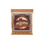 Ernie Ball 2146 earthwood phosphor bronze medium light 12-54