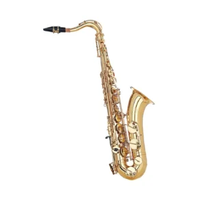 Ida Maria Grassi Sst900 Sax tenore