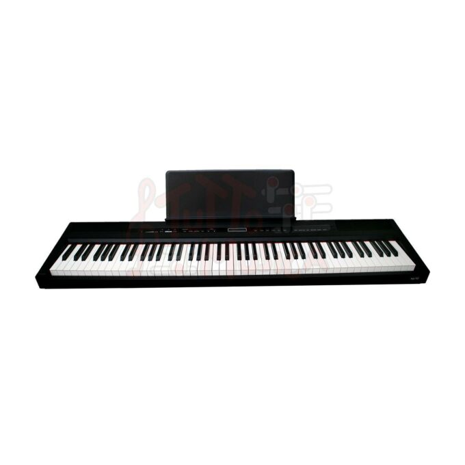 ECHORD PIANO DIGITALE 88 TASTI SP10B