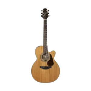 Takamine GSN1CE NG