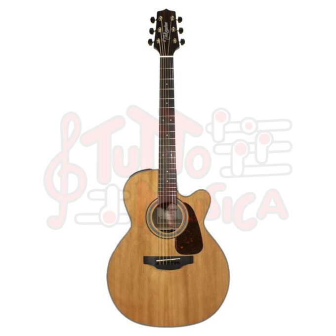 Chitarra acustica Takamine GSN1CE NG