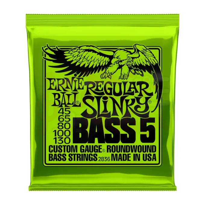 ErnieBall_2836