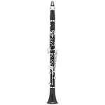 Didattica clarinetto Tuttomusicanet